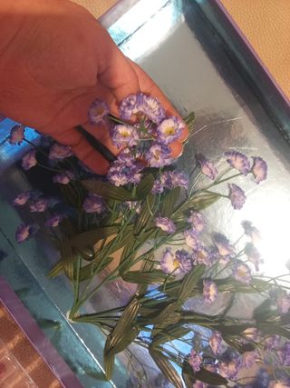 Markwins - Kit Maquillaje