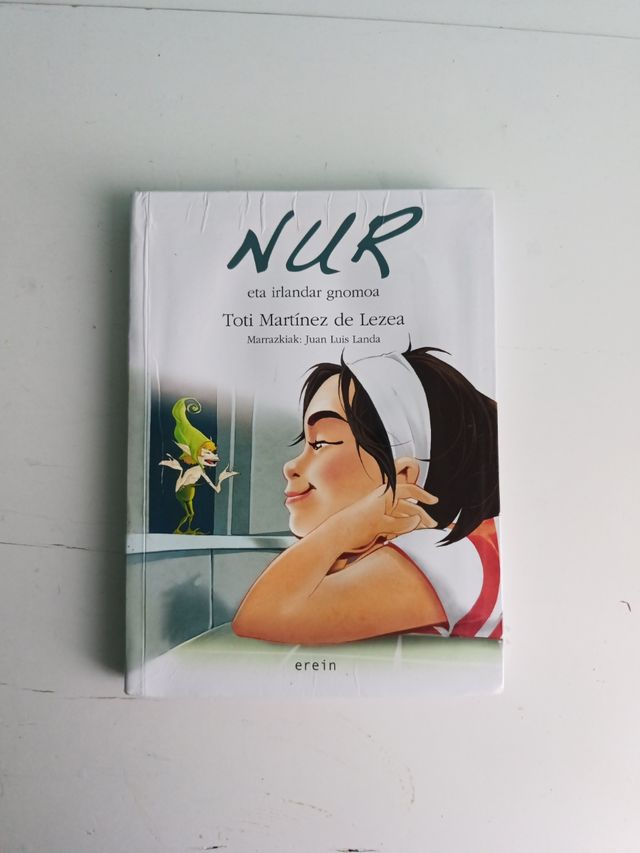 Nur eta Irlandar gnomoa