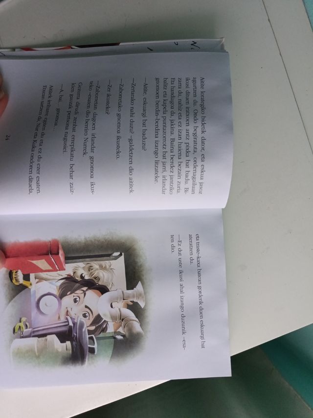 Nur eta Irlandar gnomoa