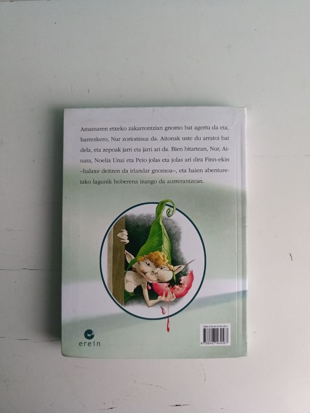 Nur eta Irlandar gnomoa