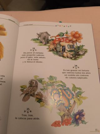 Mi libro de adivinanzas