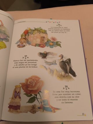 Mi libro de adivinanzas