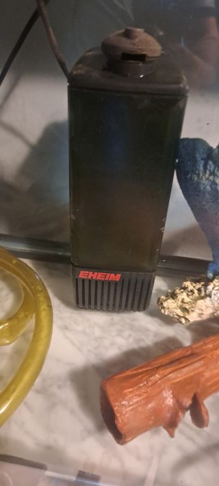 Pecera 100 L.