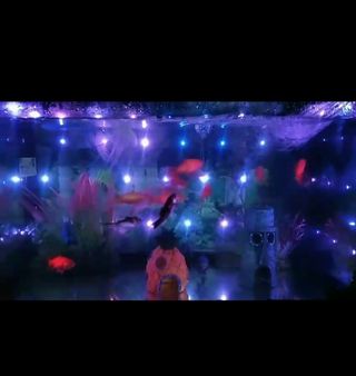 Acuario pecera peces