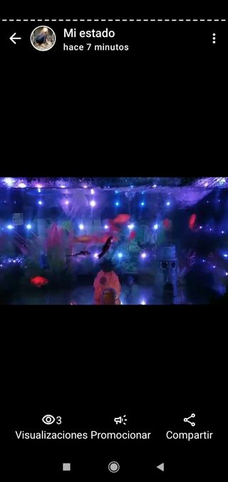 Acuario pecera peces