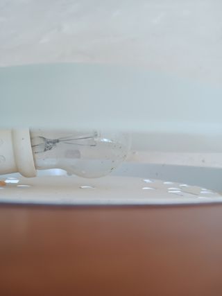 Soffitto in legno e vetro