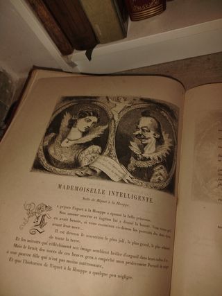 Libro Antiguo de perrault