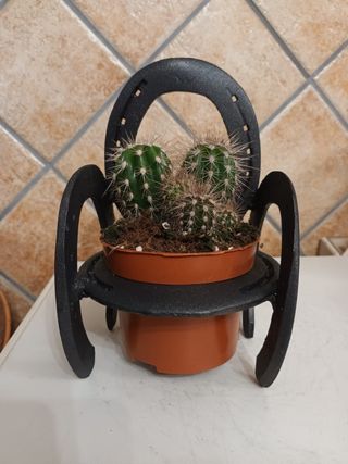 Macetero herraduras - Decoración cactus