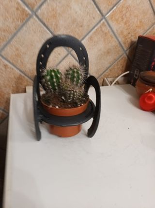 Macetero herraduras - Decoración cactus