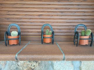 Macetero herraduras - Decoración cactus