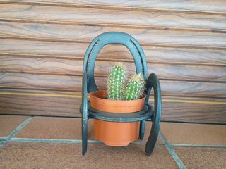Macetero herraduras - Decoración cactus