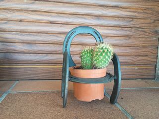 Macetero herraduras - Decoración cactus