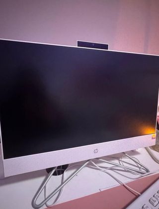HP All-in-One PC Rosa
