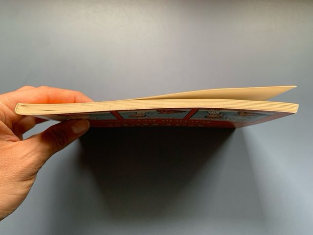 Comic Garfield Perezoso N8