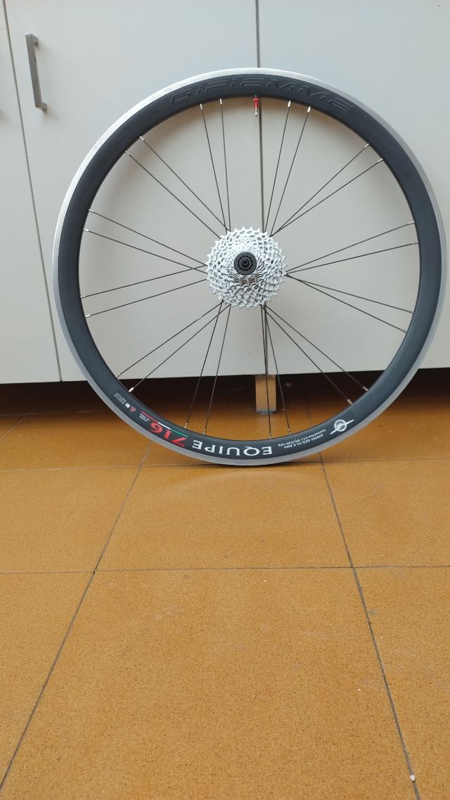 Ruedas GIPIEMME EQUIPE 716