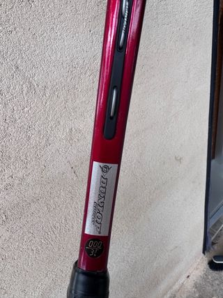 Raqueta Dunlop Ace 21