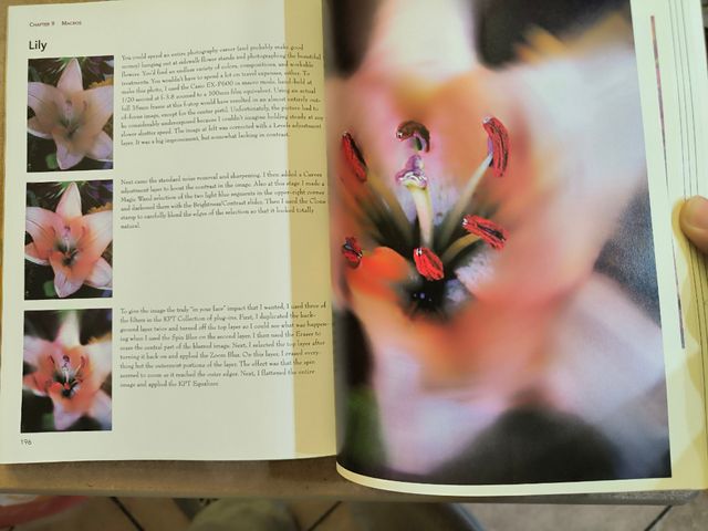 Digital Abstract & Macro Photography