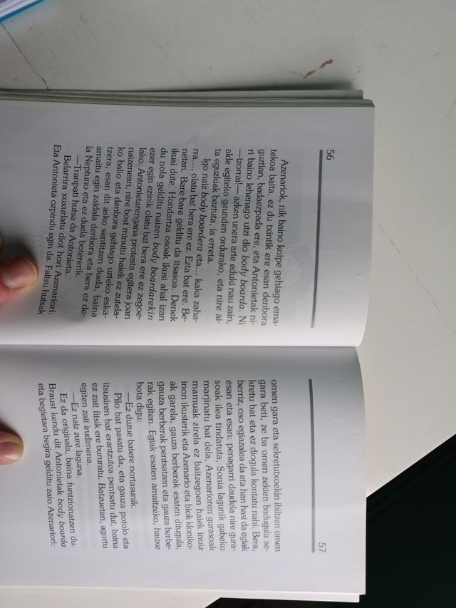 Libro "Nahi duzu izan nire ahizparen mutila?"