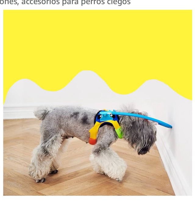 Arnes para perro ciegos