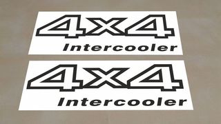 Kit pegatinas 4x4 Nissan-Terrano Negro x2UND Nuevo
