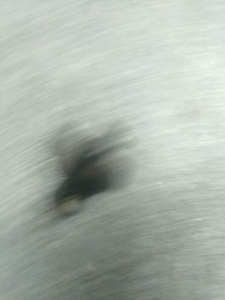 Sensor de posición del árbol de levas honda civic