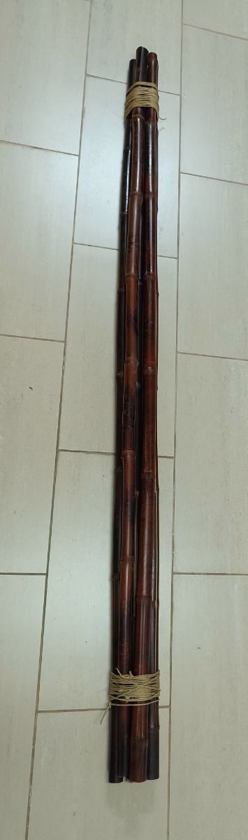 Cañas Bambú