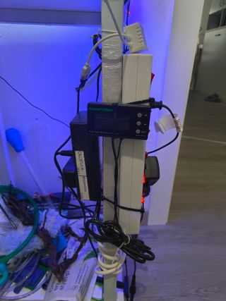 Acuario completo 60L + soporte + gambas + peces ++