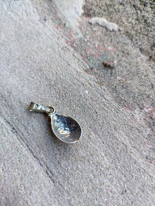 Ciondolo charm Coccinella argento 800