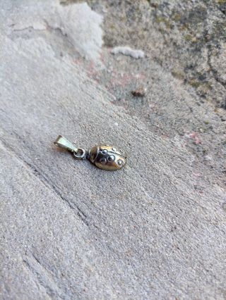 Ciondolo charm Coccinella argento 800