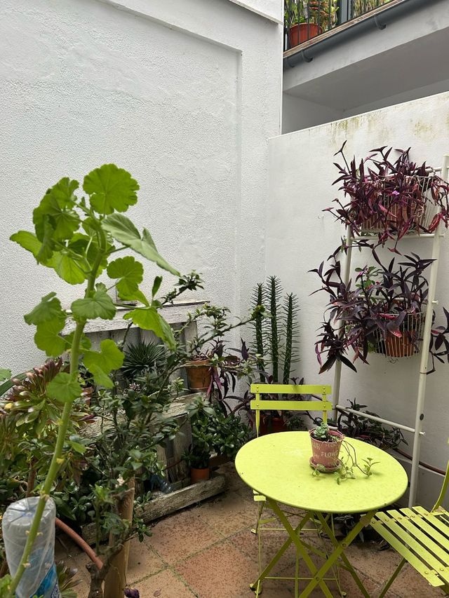 Duplex con patio - Alquiler vacacional