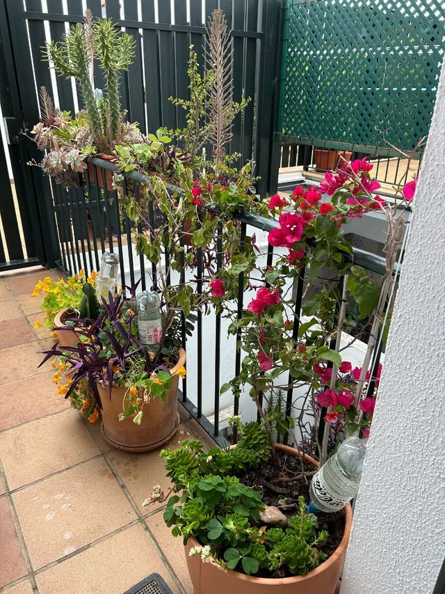 Duplex con patio - Alquiler vacacional