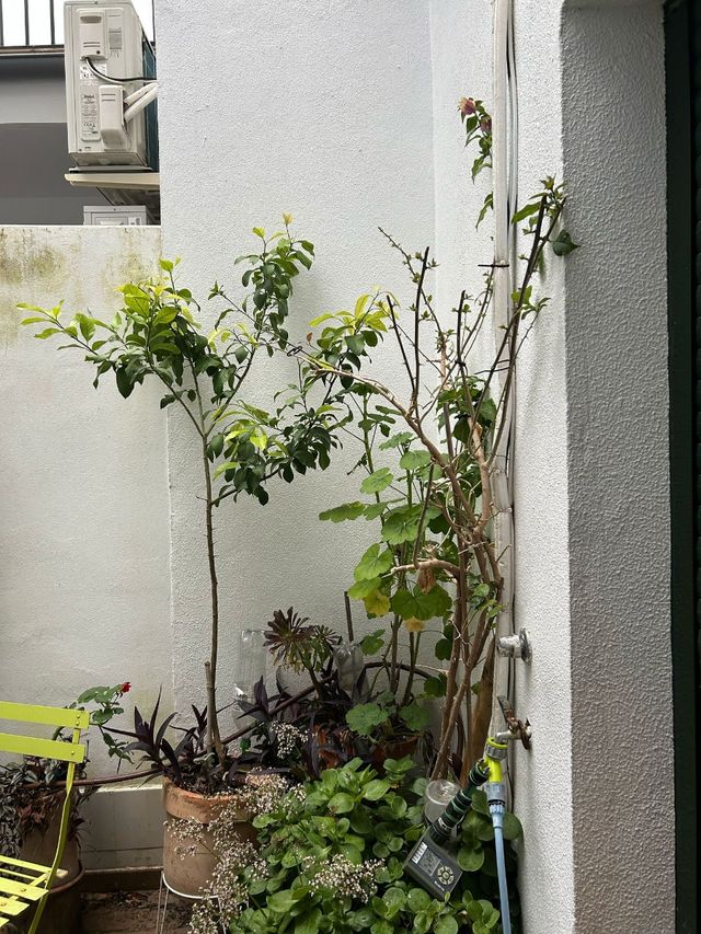 Duplex con patio - Alquiler vacacional