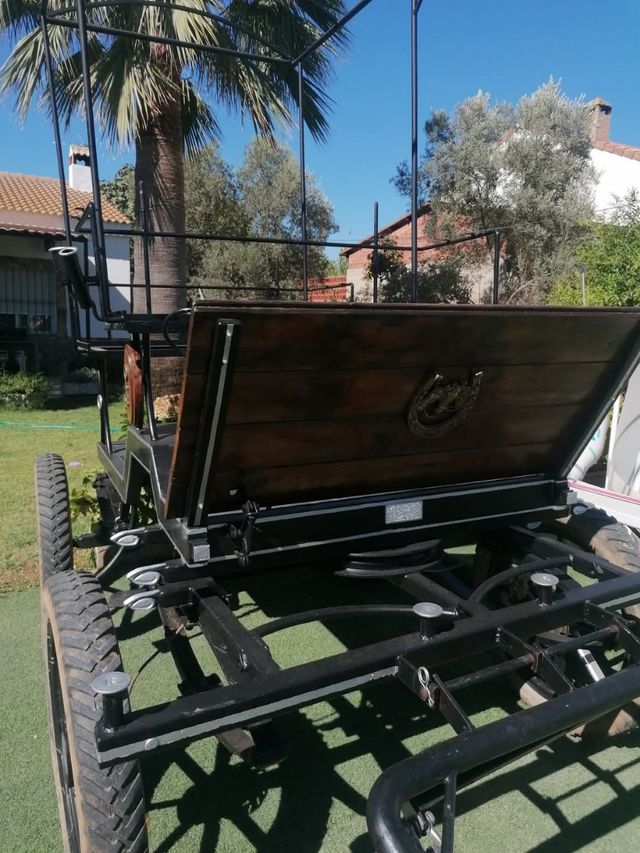 Carro caballo
Jardinera