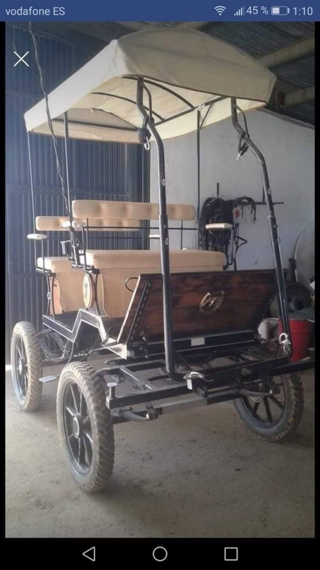 Carro caballo
Jardinera