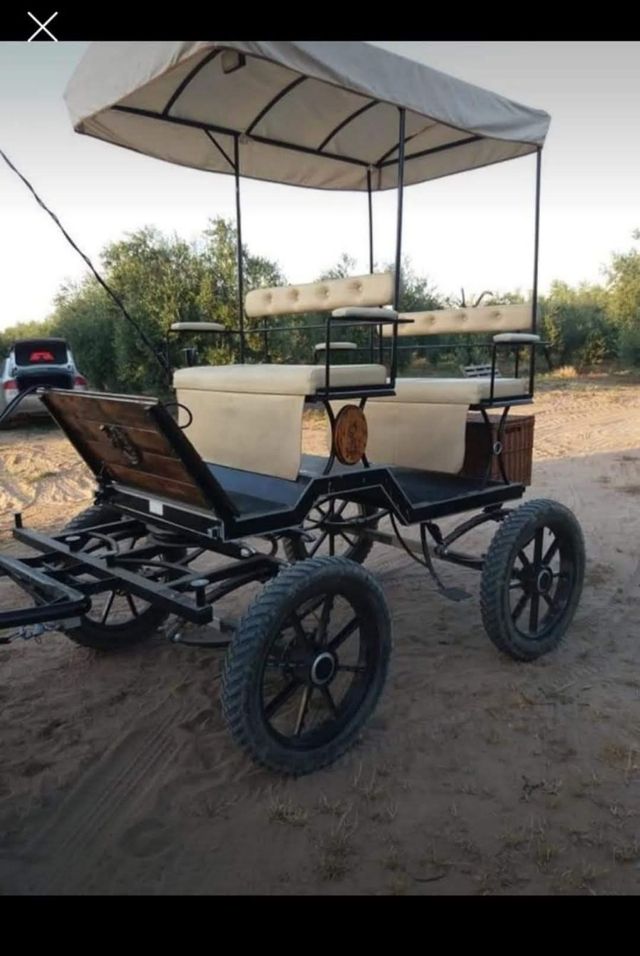 Carro caballo
Jardinera