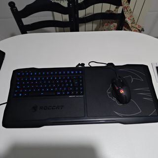 Roccat Sova + Logitech G502 Proteus Spectrum