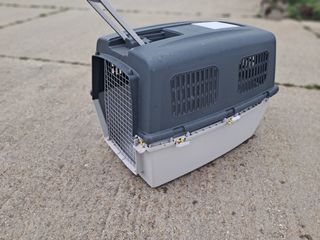 Transporting para perro grande