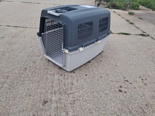 Transporting para perro grande