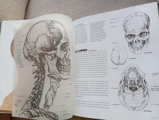 ANATOMIA PARA EL ARTISTA, SARAH SIMBLET,  BLUME.