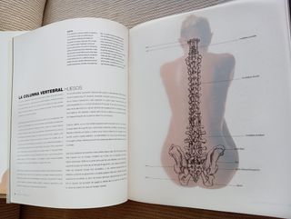 ANATOMIA PARA EL ARTISTA, SARAH SIMBLET,  BLUME.