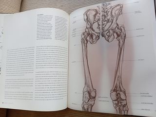 ANATOMIA PARA EL ARTISTA, SARAH SIMBLET,  BLUME.