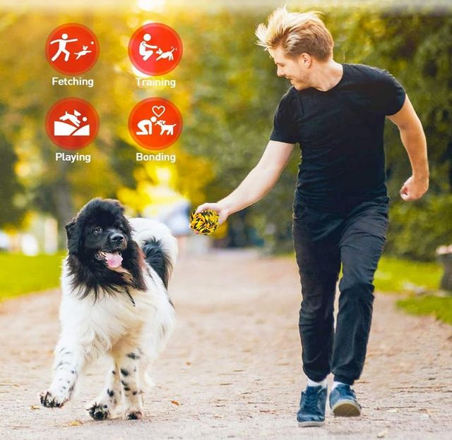 🆕 Juguetes masticables de cuerda para perros