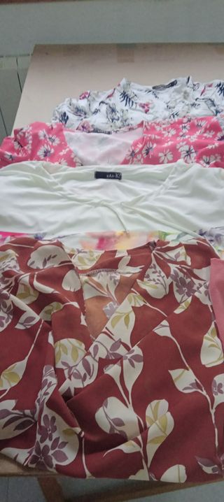 Lote camisetas/ pantalones