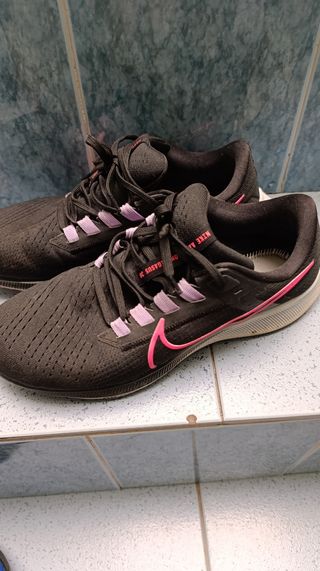 Tenis