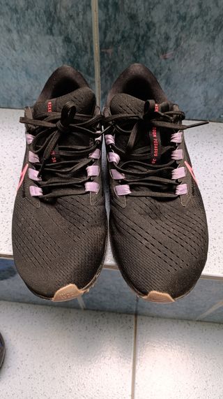 Tenis