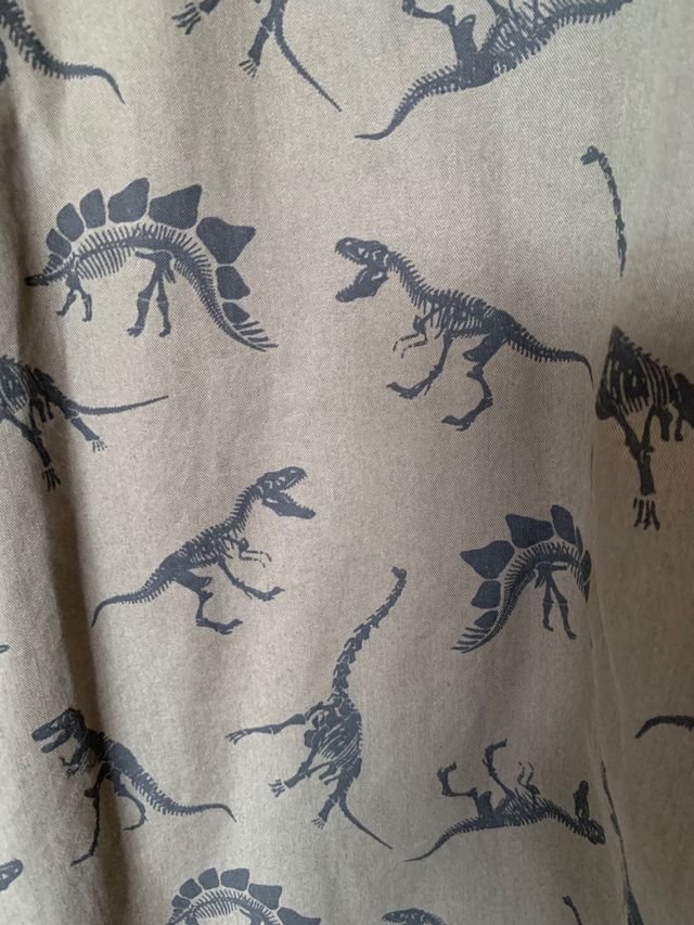 Cazadora niño HM dinosaurio talla 7-8