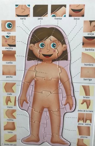 Puzzle cuerpo humano Educa - 4 puzzles