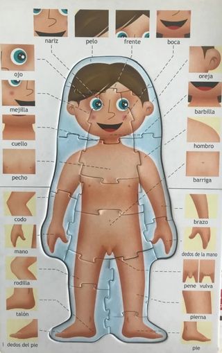 Puzzle cuerpo humano Educa - 4 puzzles