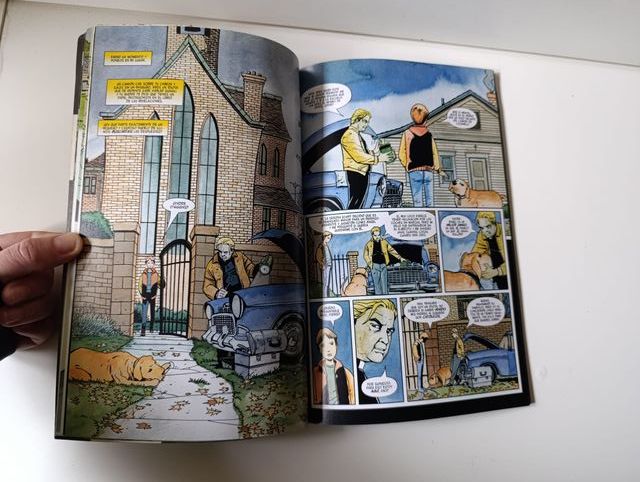 Comic o Novela grafica : El elegido