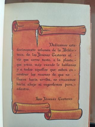 Libros infantiles Disney